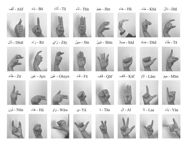Real-Time Lebanese Sign Language Translator